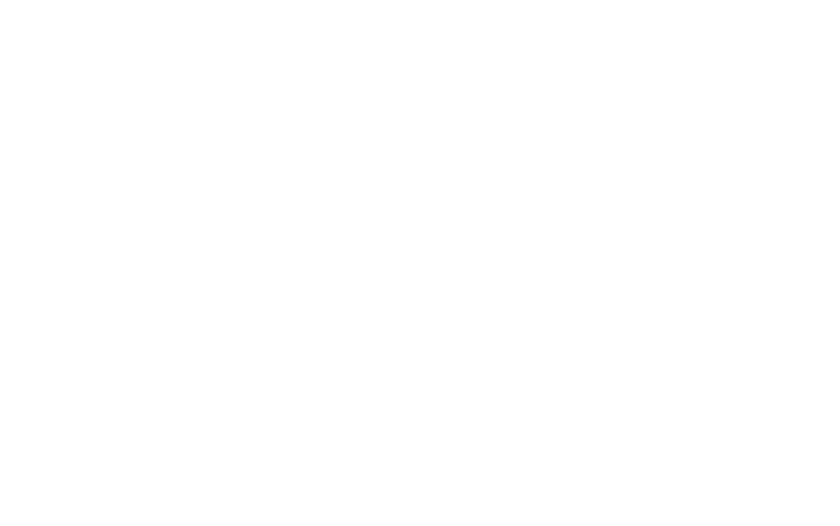 CRW: Counter Revolution War logo for Playstation